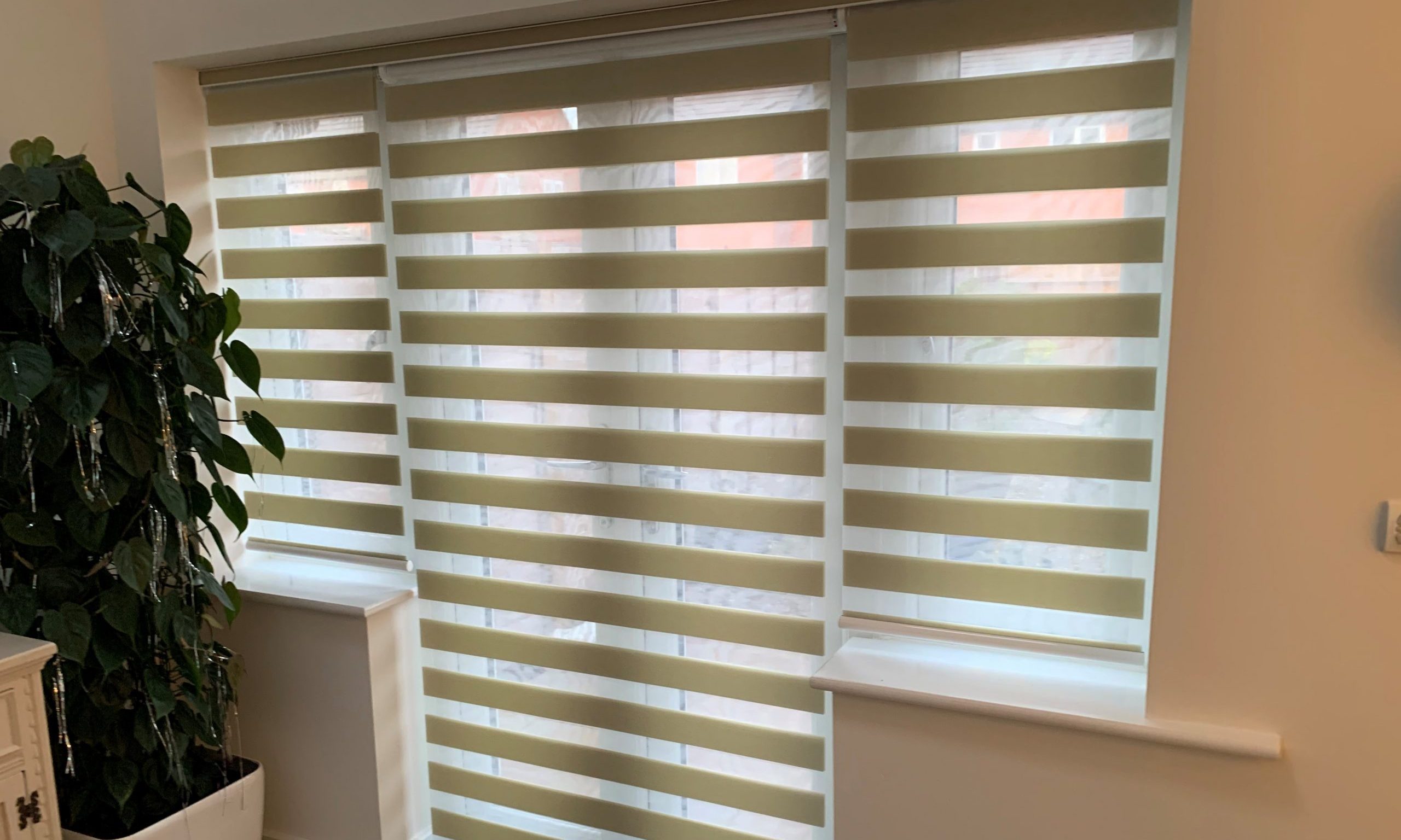 2019_12_01_VisionBlind_Drayton2